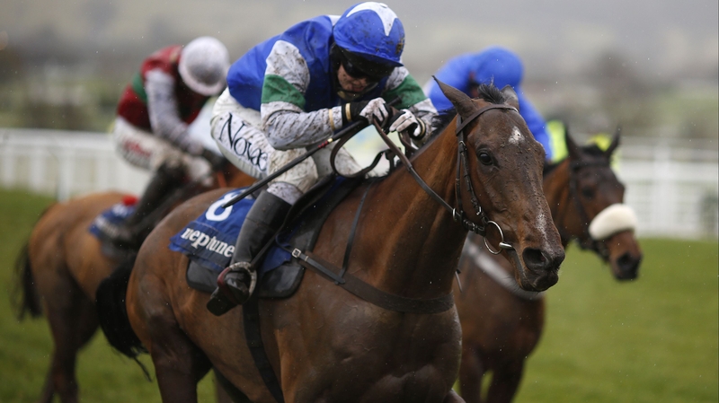 Coo Star Sivola could run at Punchestown