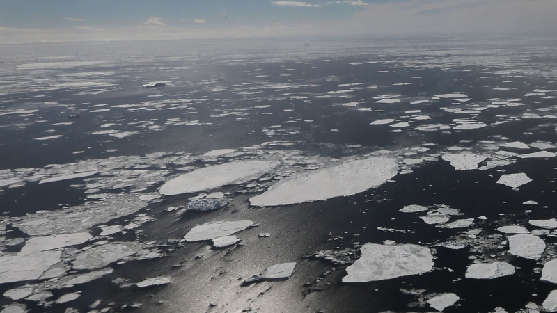 During the last interglacial period sea levels were up to nine metres higher than today