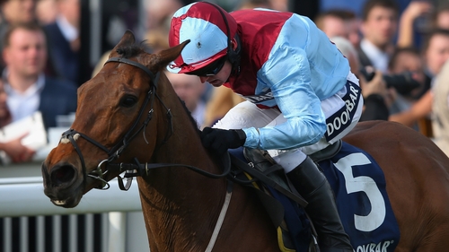 Ballyoptic can test Unowhatimeanharry at Cheltenham according to Harry Fry