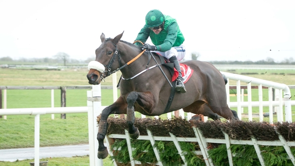 Missy Tata had a target of the Mares' Hurdle at Cheltenham