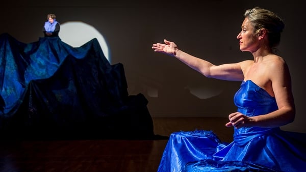 Artist Amanda Coogan, pictured performing I'll Sing You a Song from Around the Town at the RHA, Dublin in 2015