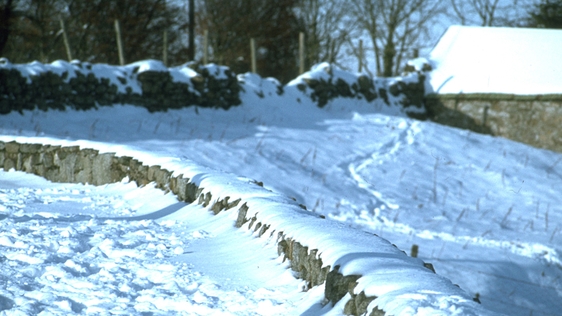 The Big Snow (1982)