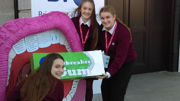 Projects at the BT Young Scientist Exhibition