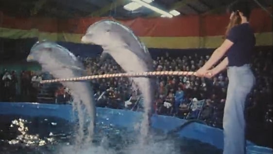 Funderland 1977