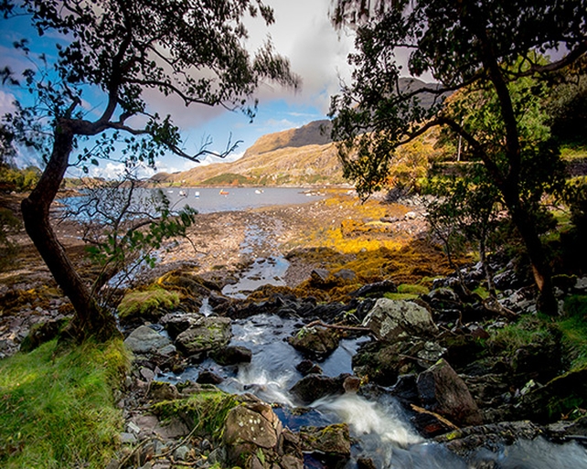 Finalist: John Edgeworth, Rosroe, Connemara, Co. Galway