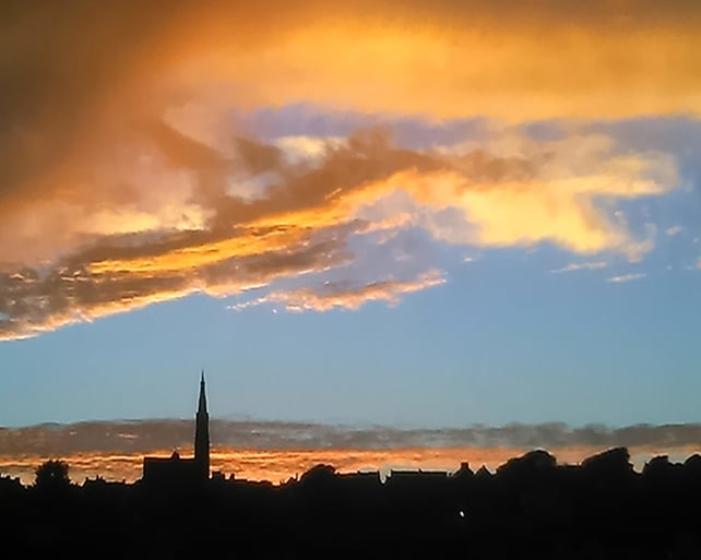 Finalist: Frances Kavanagh, Tramore, Co. Waterford