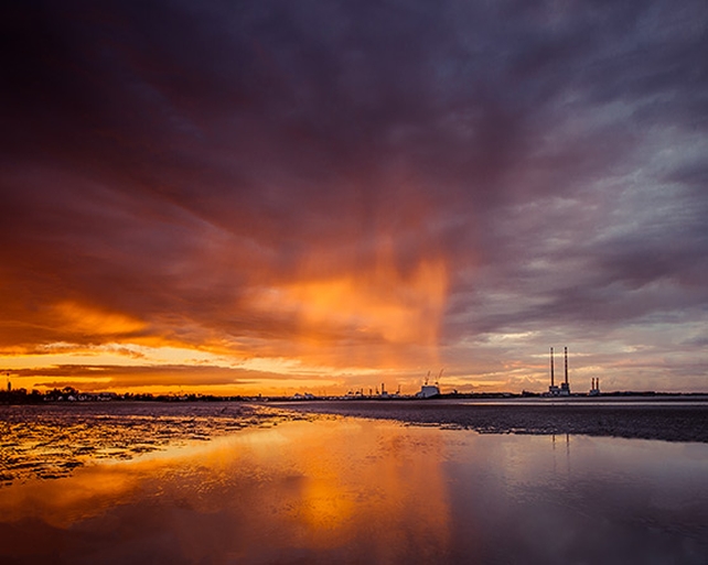 Finalist: Emily Gallagher, Booterstown, Co. Dublin