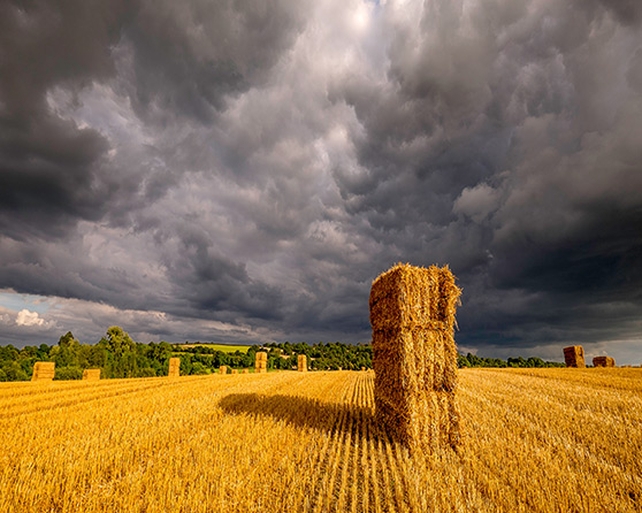 Finalist: Hilda Smith, Athy Road, Kilcullen, Co. Kildare