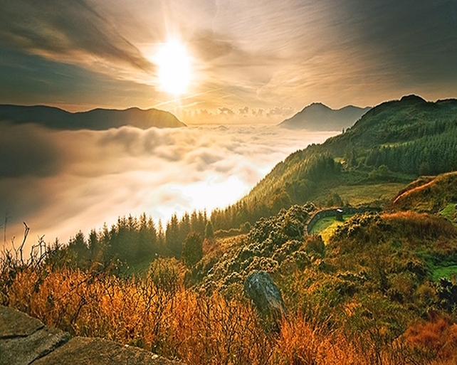 Finalist: Desmond Daly, Flagstaff, border of Co. Louth & Co. Armagh