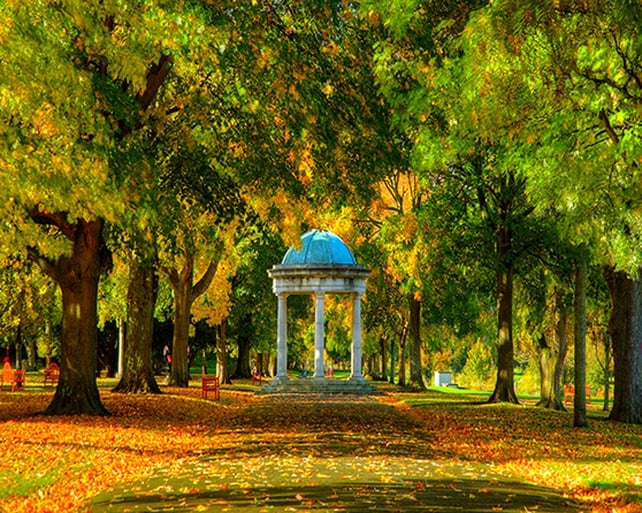 Runner Up: Mark Buckley, Irish National War Memorial Gardens