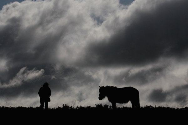 AHAR Animal Rescue Charity Chairperson has her say on Liveline.
