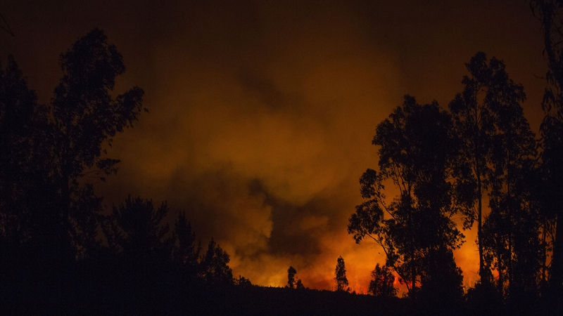 A view of a wild fire at the "O'Higgins region" in the Pumanque locality in Chile on Friday