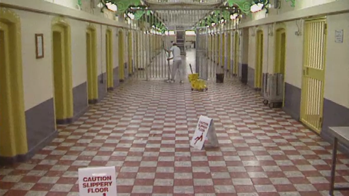 The Joy (1997)
