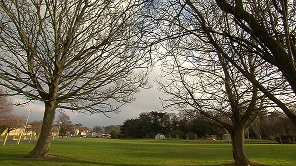 Cairn had planned to build 611 apartments, as well as town houses, a new public park, a childcare facility, cafes, and leisure facilities on the Montrose site.