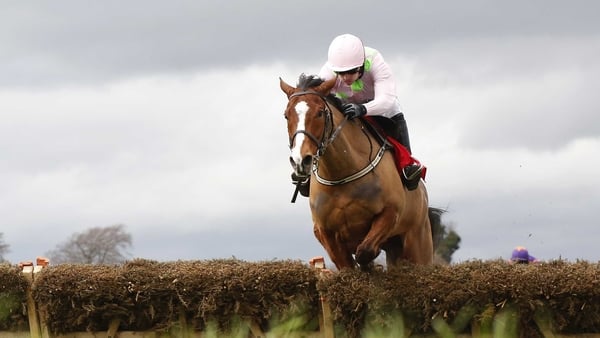 Faugheen will return in the BHP Insurance Irish Champion Hurdle next month, a race he won two years ago