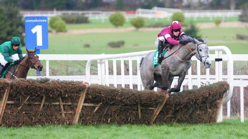 Petit Mouchoir makes a slight blunder at the last at Leopardstown