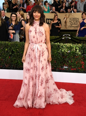 Miss: Parks and Recreation's Rashida Jones is a little under dressed for the SAGs in this pretty prairie dress.