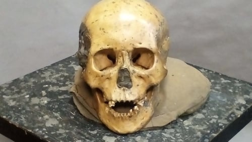 One of the skulls found in the Devil's Gate cave from which ancient DNA used in the study was extracted (Pic: Elizaveta Veselovskaya)