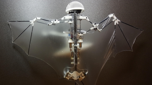 It is hoped that the 'Bat Bot' could one day be used for disaster rescue and other problem solving (Pic: Ramezani, Chung, Hutchinson, Sci. Robot. 2)