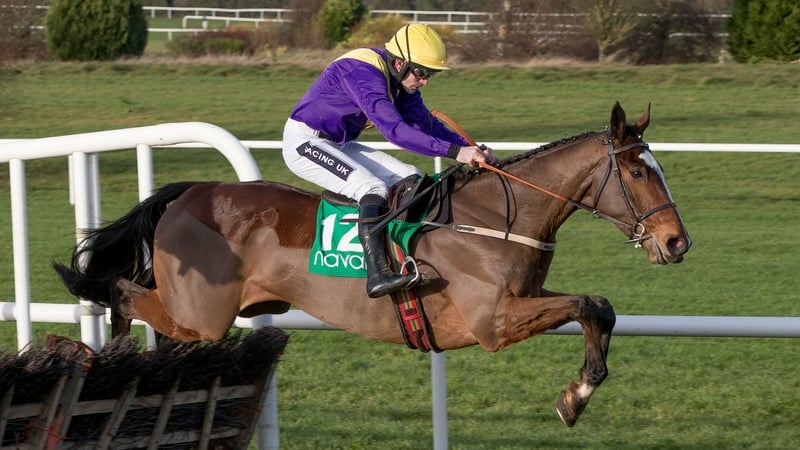 Cilaos Emery is fancied for the Arkle