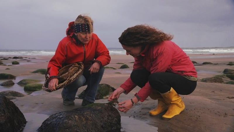 Eco Eye tonight: Ireland's forgotten land