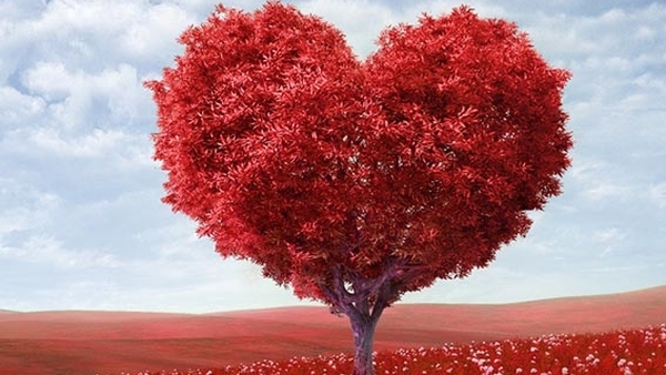 Valentine's Day: Feel the love for Kids TV on RTÉ Player!