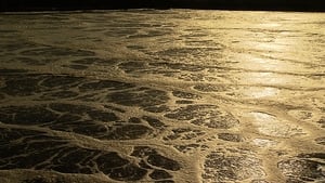 Testing the waters: why are swimmers kept in the dark about water quality for half the year? show image