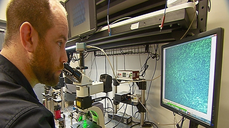 University College Cork researchers, including Colm O'Dwyer, have made the discovery