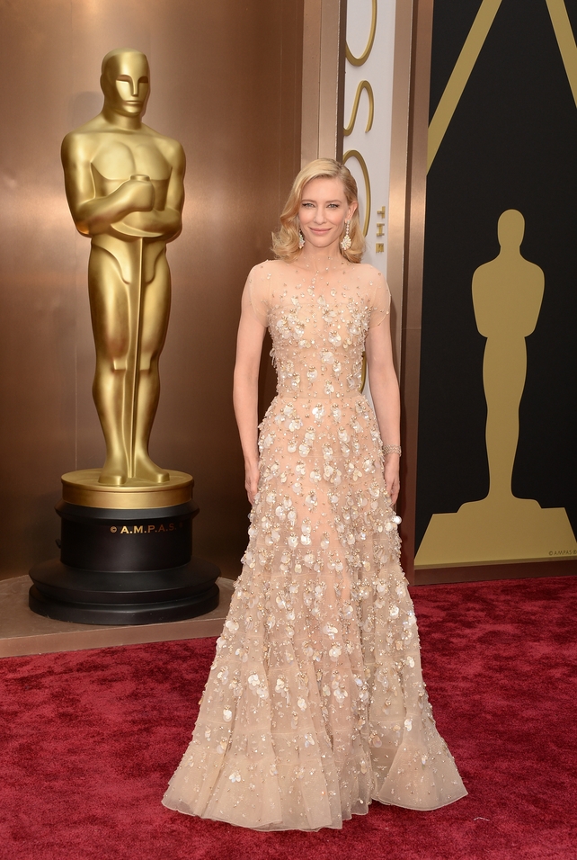 Cate in 2014, wearing one of the most expensive gowns in Oscars history: an Armani Privé dress embellished with $100,000 worth of Swarovski crystals. The dazzling actress picked up the Oscar for her role in 'Blue Jasmine'.