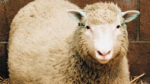 Dolly was the only surviving lamb from 277 cloning attempts