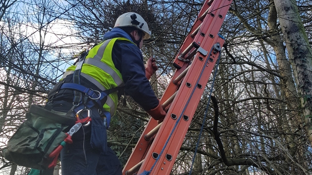 Crews working to restore power in Malahide