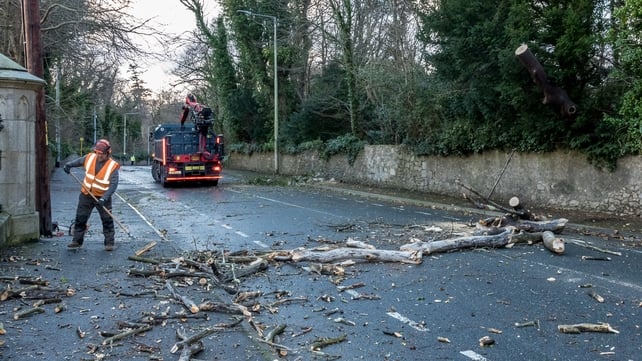 Debris on the road in Shankill (Pic: John Coveney)