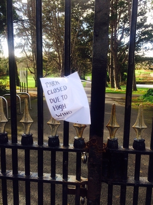 No walk today in Cabinteely Park