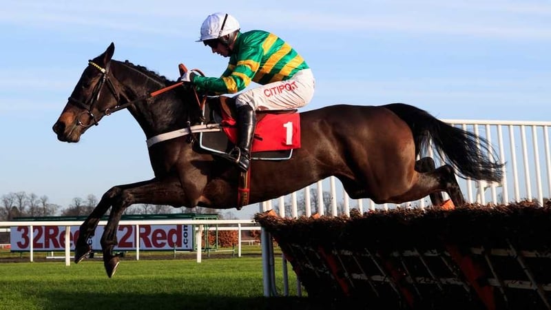 Charli Parcs was bought by JP McManus after making a winning debut at Enghien in November