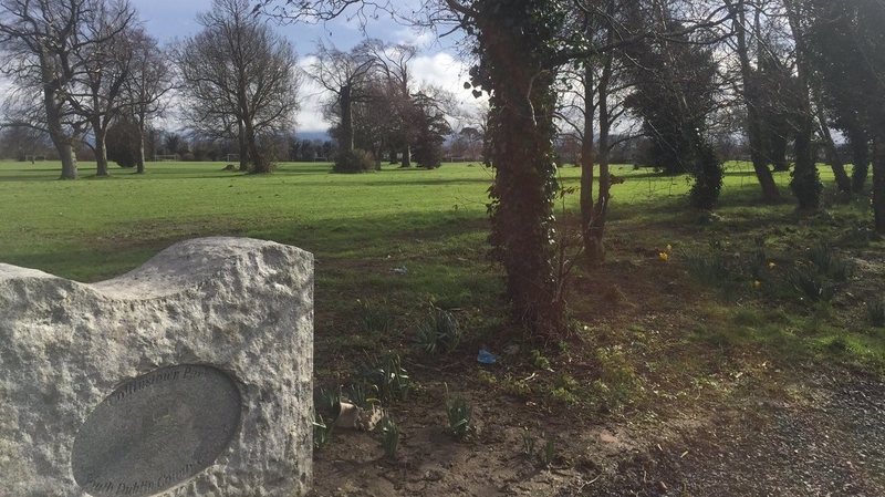 The man fled into Collinstown Park and was pursued in the dark by three unarmed gardaí