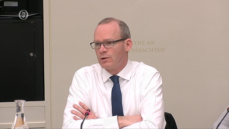 The Government has appointed a go-to minister for Brexit issues in the form of Foreign Affairs Minister, Simon Coveney.