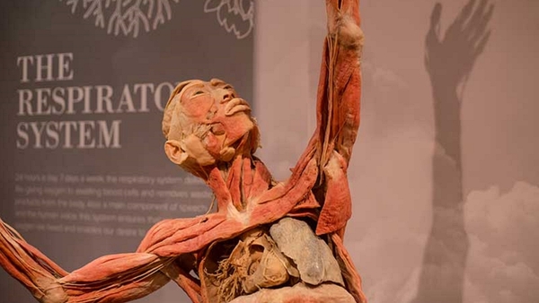 Joe Duffy discusses the ethics of bodysnatching