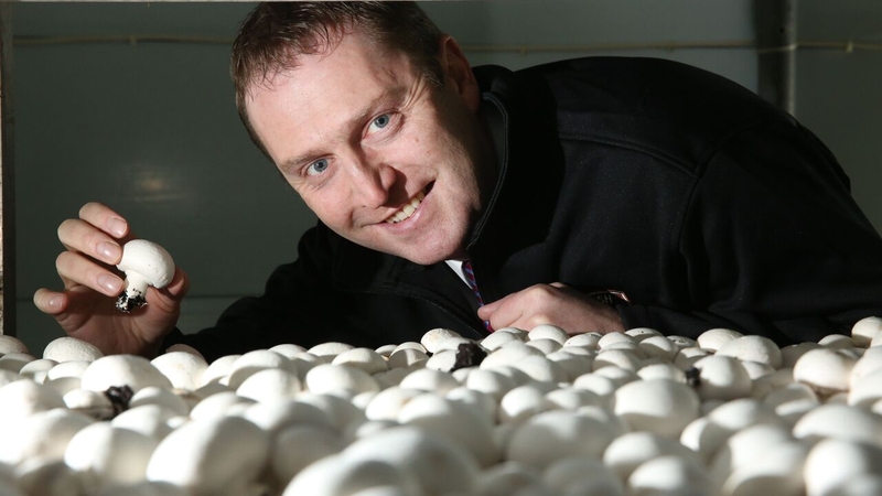 Padraic O'Leary is Managing Director of the Wexford-based Walsh Mushrooms