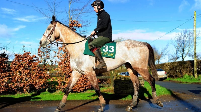 Carter McKay is Willie Mullins' main hope for the Champion Bumper