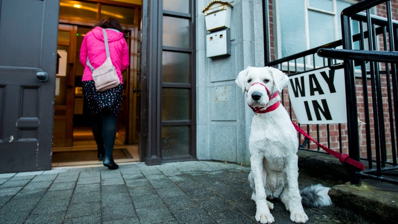 Election was triggered during row over botched energy scheme