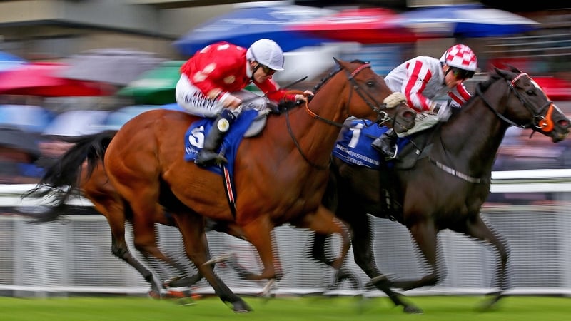 Money-spinner Sole Power was bought for just £32,000 but won over £2m in prize money