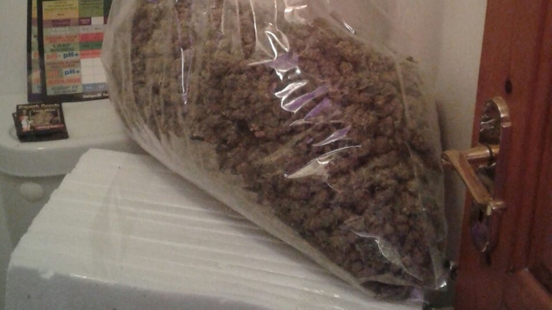 The drugs were found in a house in Carlow town