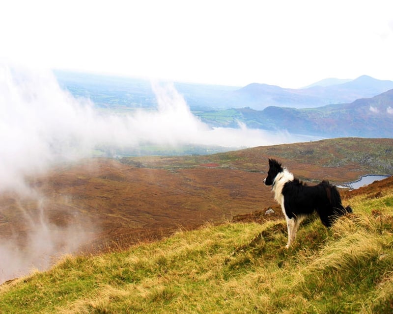 Winning Entry: Kathleen Horan, Mangerton Mountain, Killarney, Co. Kerry.