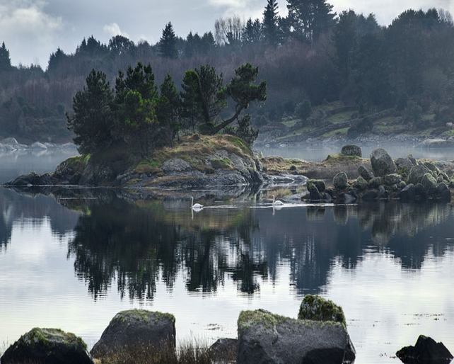 Runners Up: Catherine Bushe, Screeb, Connemara, Co. Galway.