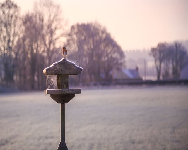 Runners Up: Andrew Geary, Piltown, Co. Kilkenny