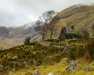 Finalist: James Graham, Drumluska House, Black Valley, Killarney, Co. Kerry.