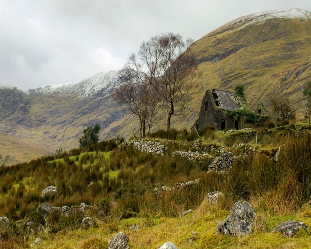 Finalist: James Graham, Drumluska House, Black Valley, Killarney, Co. Kerry.