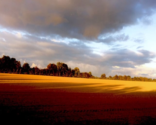 Finalist: Beatrice Sherry, Lusk, Co. Dublin