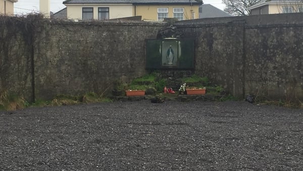 The Tuam Home Survivors' Network hopes samples from living relatives will someday be matched to any DNA discovered in human remains