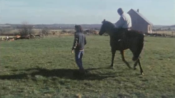 Horse Trainer Suzanne Finn